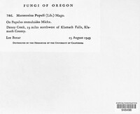 Image Associated With the Occurence